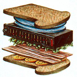 c11