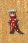 cook9